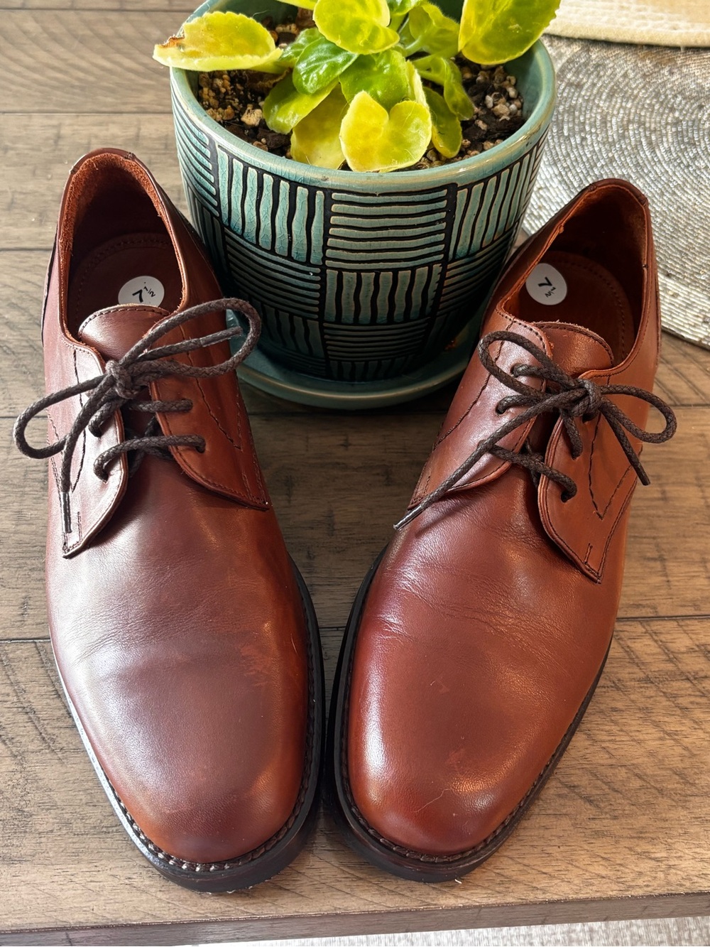 Coach Men’s Brown Leather lace up shoes new without tag 7.5
